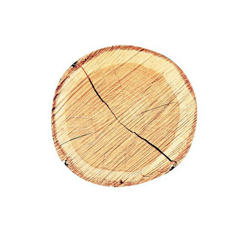 Bloc-notes Repositionnable Tronc D'arbre 3 Bloc-notes Repositionnable Tronc D'arbre