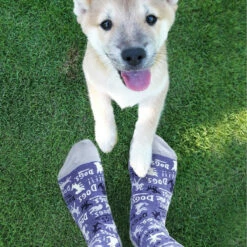 Chaussettes Femme Dogs