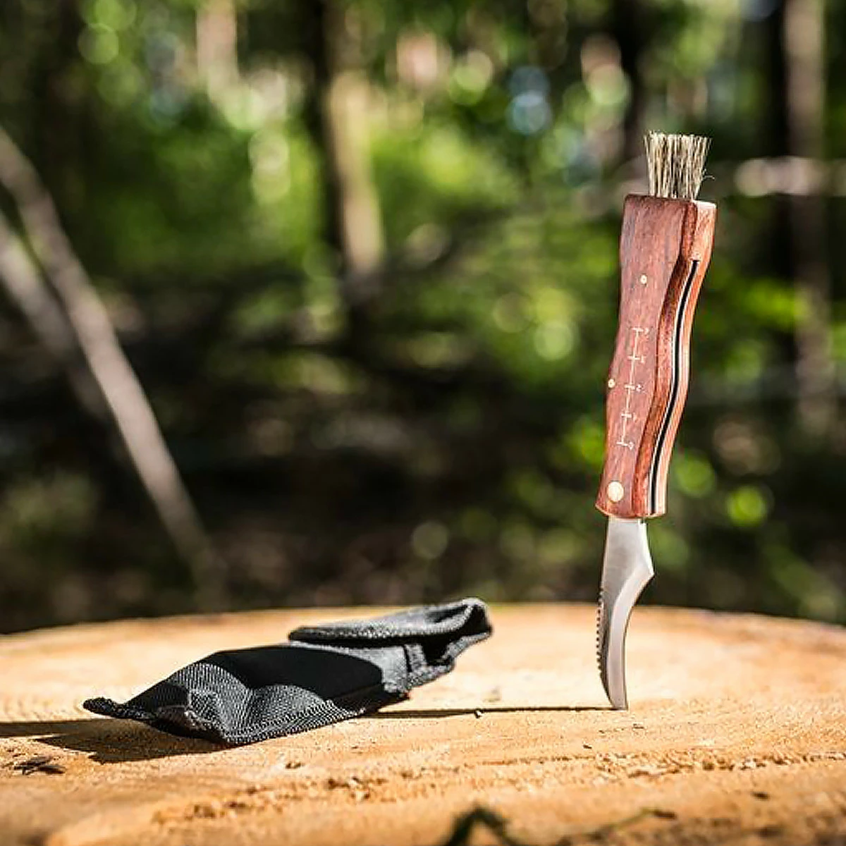 Couteau à Champignon Et Son étui 3 Couteau à Champignon Et Son étui