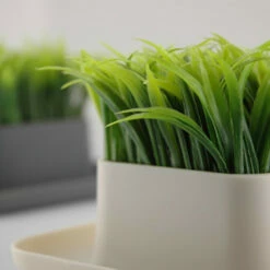 Herbe, Station De Rangement -Cadeau boutique herbe station de rangement 1