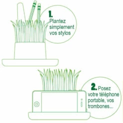 Herbe, Station De Rangement -Cadeau boutique herbe station de rangement 2