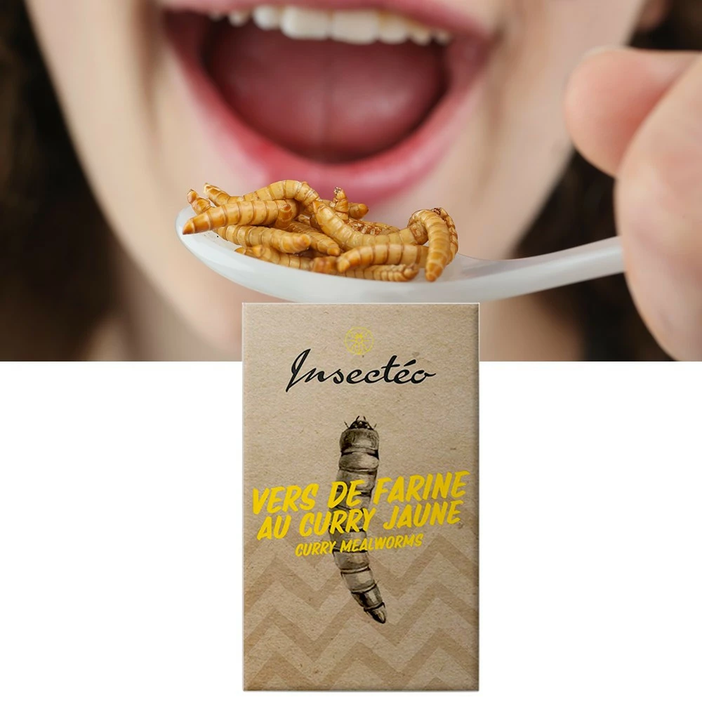 Insectes Comestibles : Vers De Farine Au Curry 4 Insectes Comestibles : Vers De Farine Au Curry – Image 2