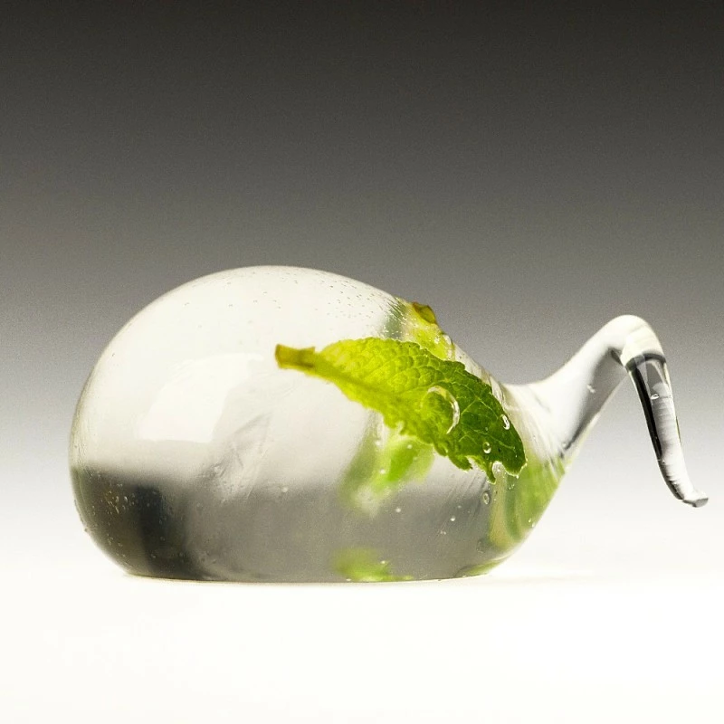 Kit Cocktail + Cuisine Moléculaire + Livre Gratuit 7 Kit Cocktail + Cuisine Moléculaire + Livre Gratuit – Image 5