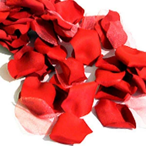 Lit De Pétales De Rose 4 Lit De Pétales De Rose – Image 2