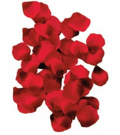 Lit De Pétales De Rose