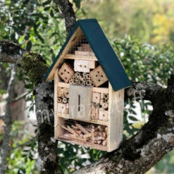 Maison Hôtel à Insectes -Cadeau boutique maison hotel a insectes 2