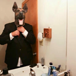 Masque De Berger Allemand