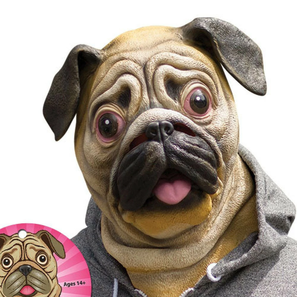 Masque Tête De Chien Carlin 3 Masque Tête De Chien Carlin