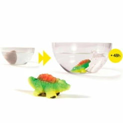 Oeuf Magique Dinosaure XL -Cadeau boutique oeuf magique dinosaure xl 2