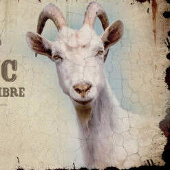 Plaque De Porte ça Sent Le Bouc -Cadeau boutique plaque de porte ca sent le bouc 3